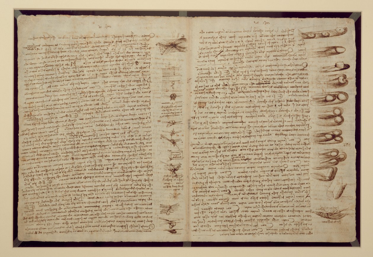 Een pagina uit de Codex Leicester, 1508-12 door Leonardo da Vinci