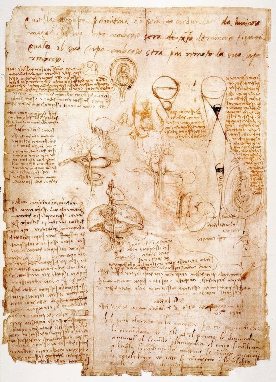 Anatomische studies: organen van de buik... door Leonardo da Vinci