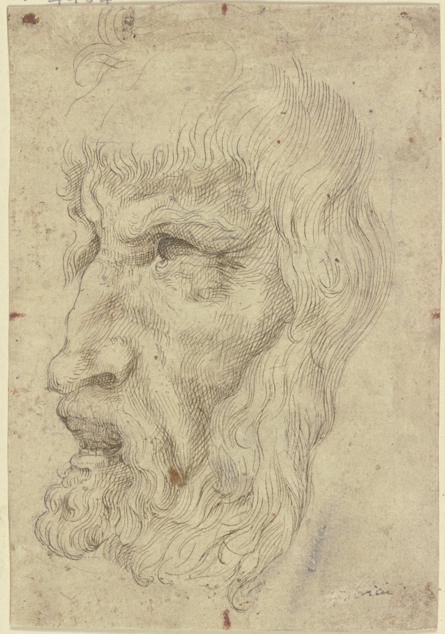 Antieke maskers aan de linkerkant door Leonardo da Vinci