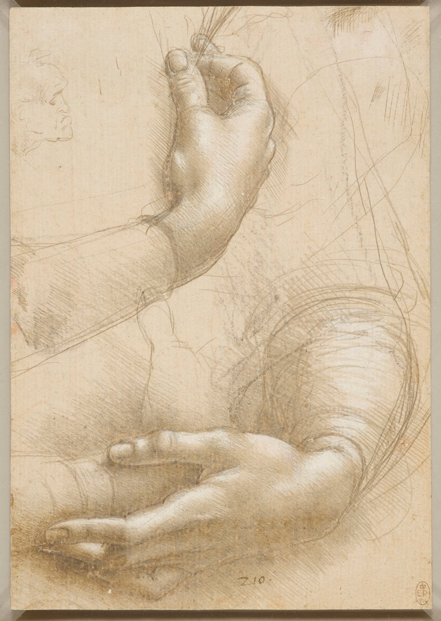 Armen en vrouwelijke handen, ca. 1480 door Leonardo da Vinci
