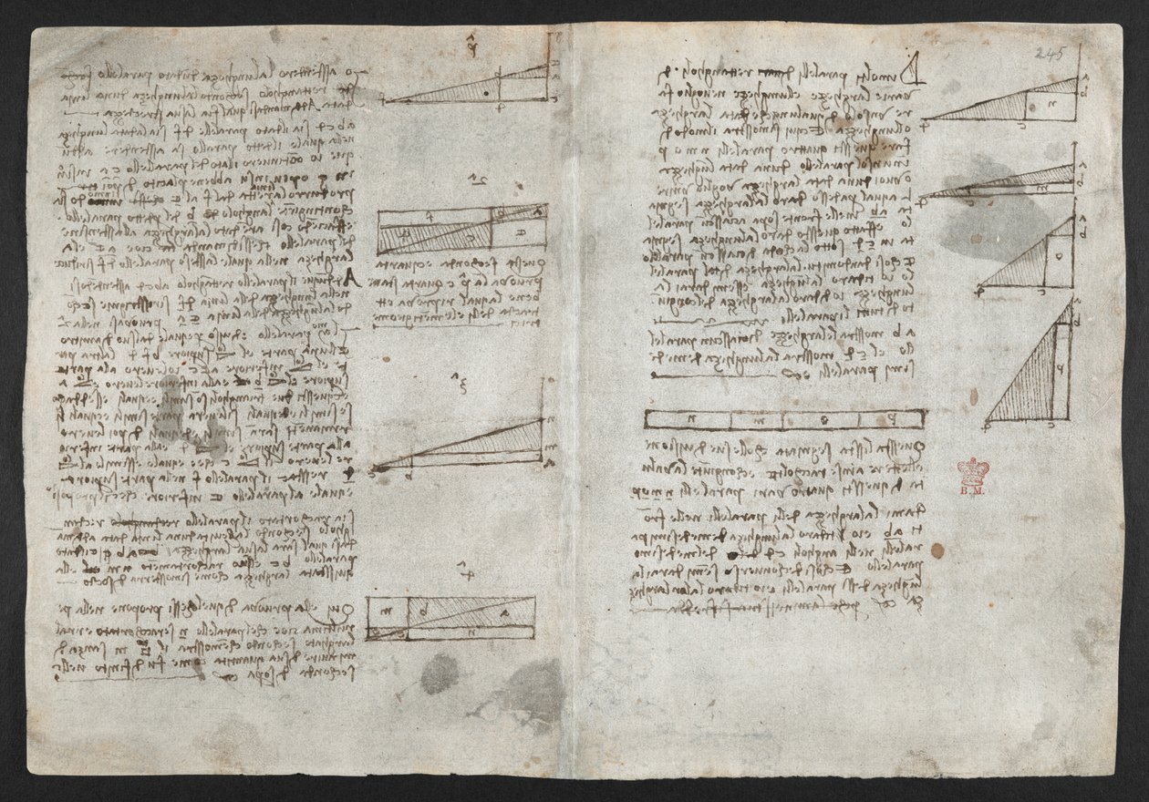 Tekeningen over mechanische krachten en krachten, percussie, zwaartekracht, beweging, optica en astronomie, met verschillende rekenkundige en geometrische stellingen (illustratie uit Leonardo