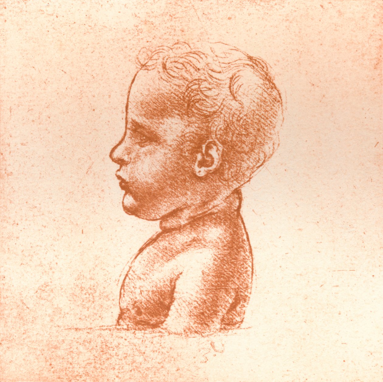 Buste van een jongen, c1472-c1519 door Leonardo da Vinci