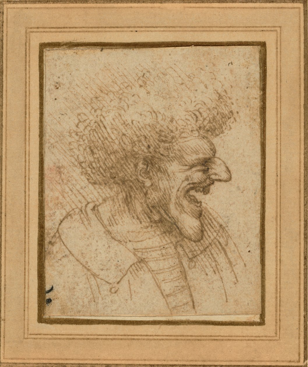 Karikatuur van een man met borstelig haar door Leonardo da Vinci