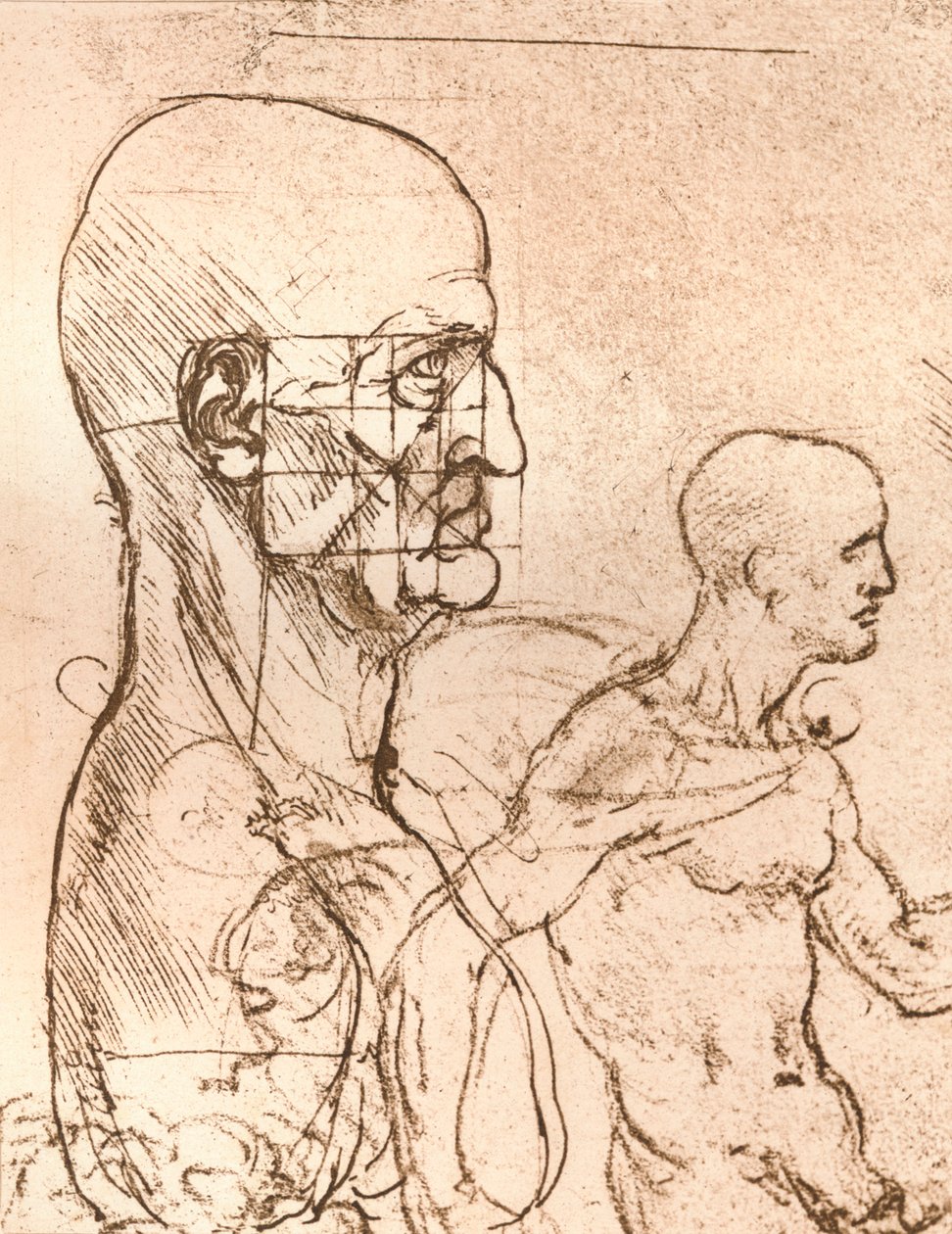 Tekening ter illustratie van de theorie van de proporties van het menselijk figuur, ca. 1472-1519, 1883 door Leonardo da Vinci
