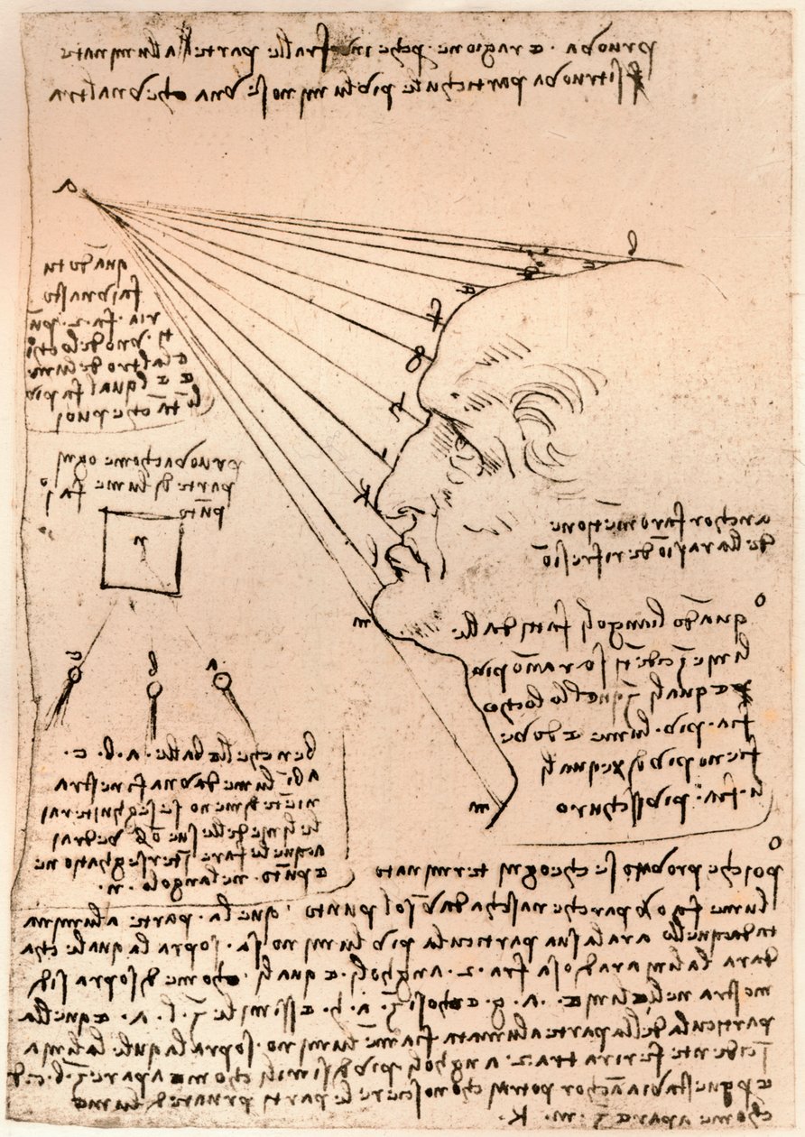 Tekening van een mannelijk hoofd, illustratie van de schilderpraktijk door Leonardo da Vinci