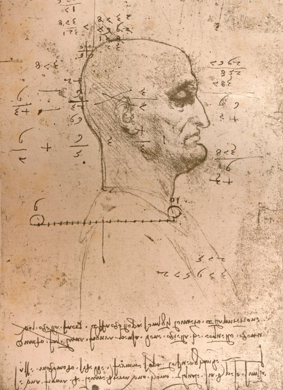 Tekening van het hoofd van een crimineel, ca. 1472-ca. 1519, 1883 door Leonardo da Vinci