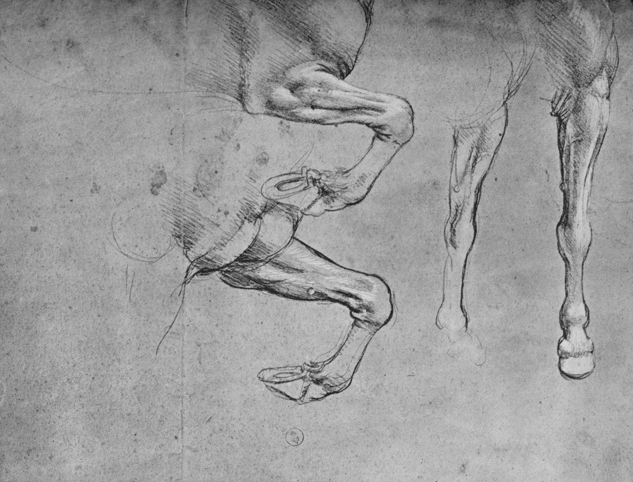 Vier studies van paardenbenen, c. 1480 door Leonardo da Vinci