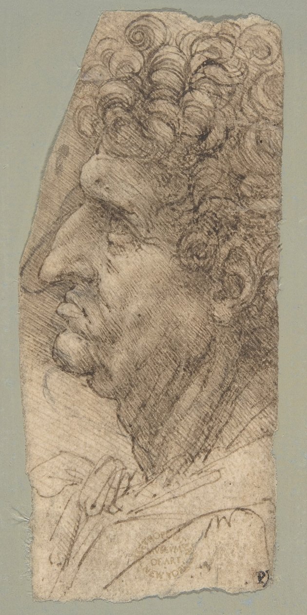Hoofd van een man in profiel, naar links gekeerd door Leonardo da Vinci