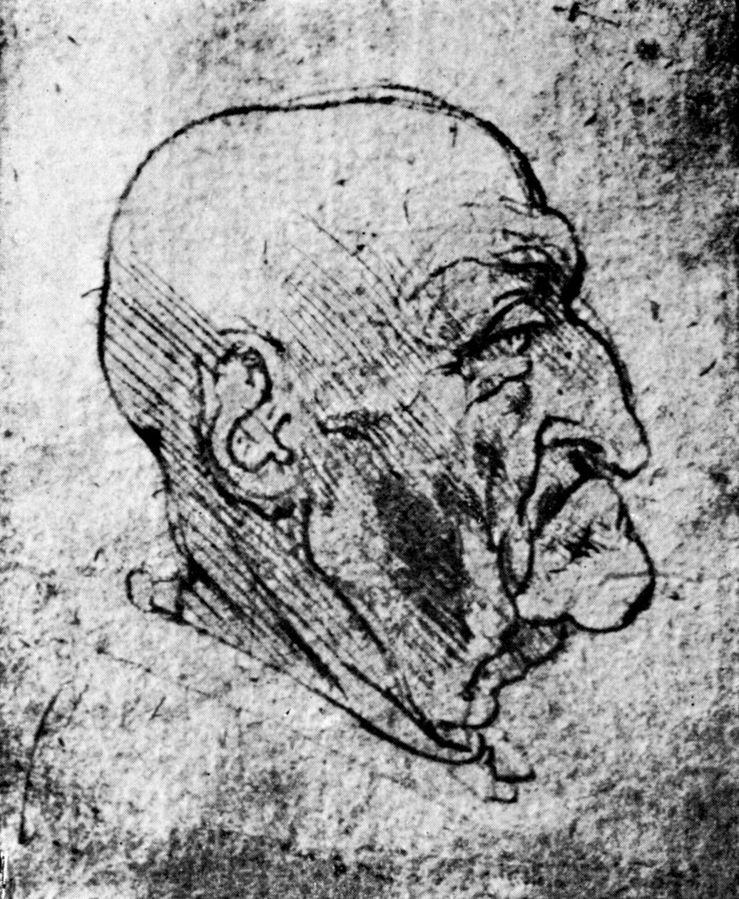 Hoofd van een oude man, 1913 door Leonardo da Vinci