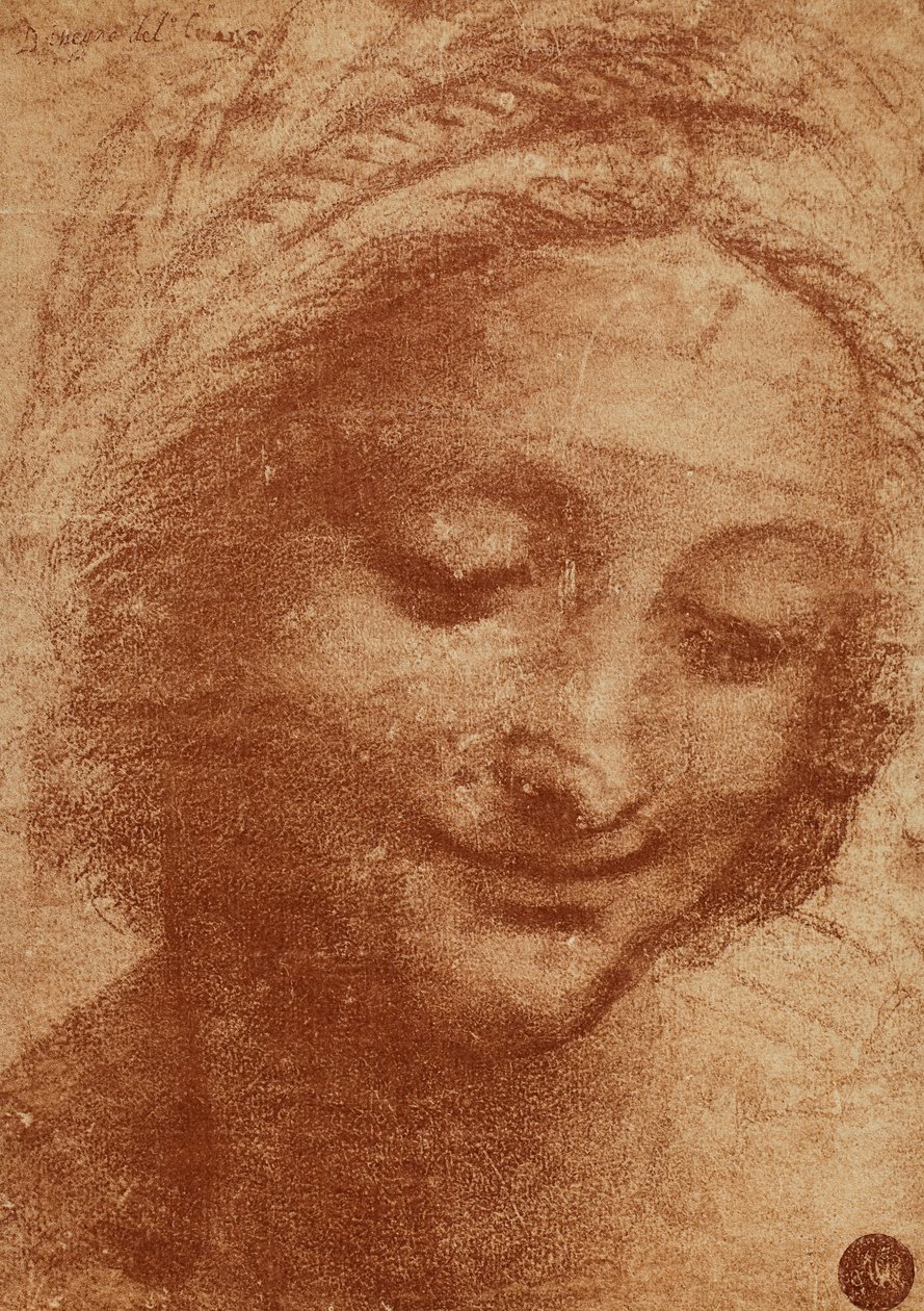 Hoofd van de vrouw of van Sant