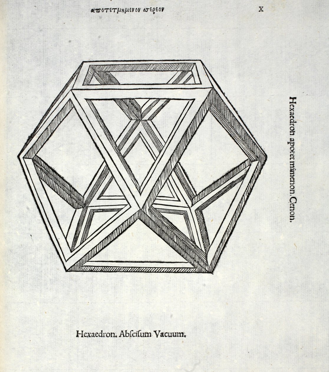 Hexaedron abscisum vacuum, illustratie uit 