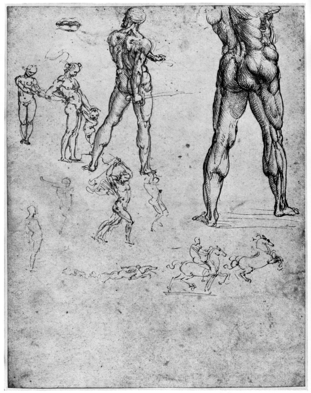Naaktstudies voor De Slag bij Anghiari, ca. 1503-1505, 1954 door Leonardo da Vinci