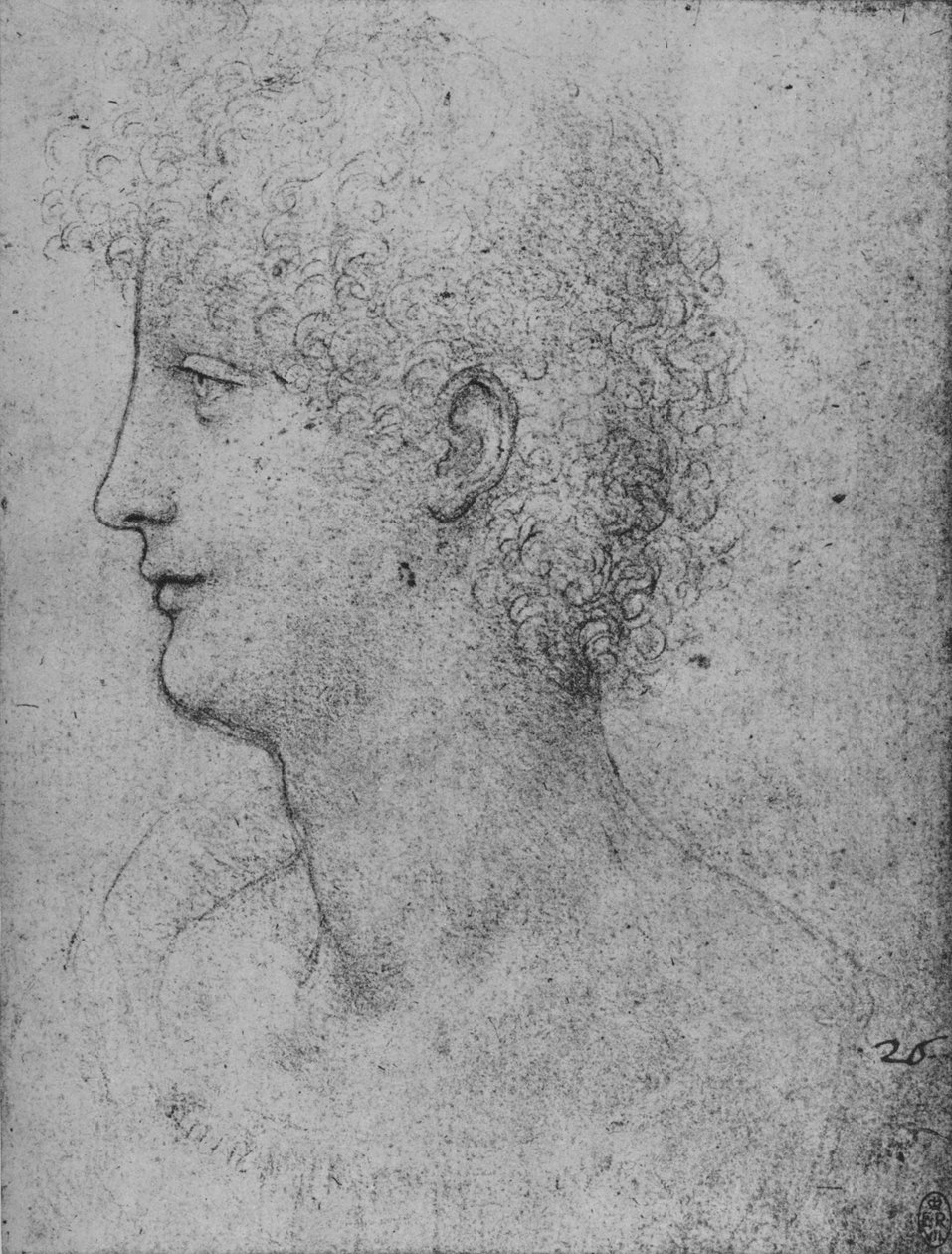 Profiel Naar Links Van Een Krullend-Hoofdige Jongeling, ca. 1480 1945 door Leonardo da Vinci
