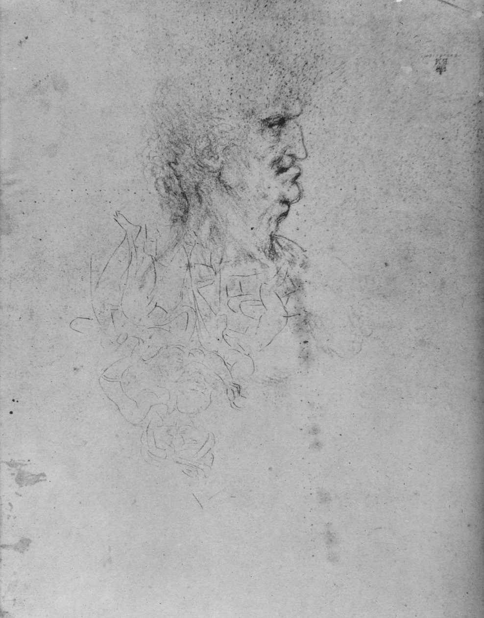 Profiel naar rechts van een oude man, ca. 1480 1945 door Leonardo da Vinci