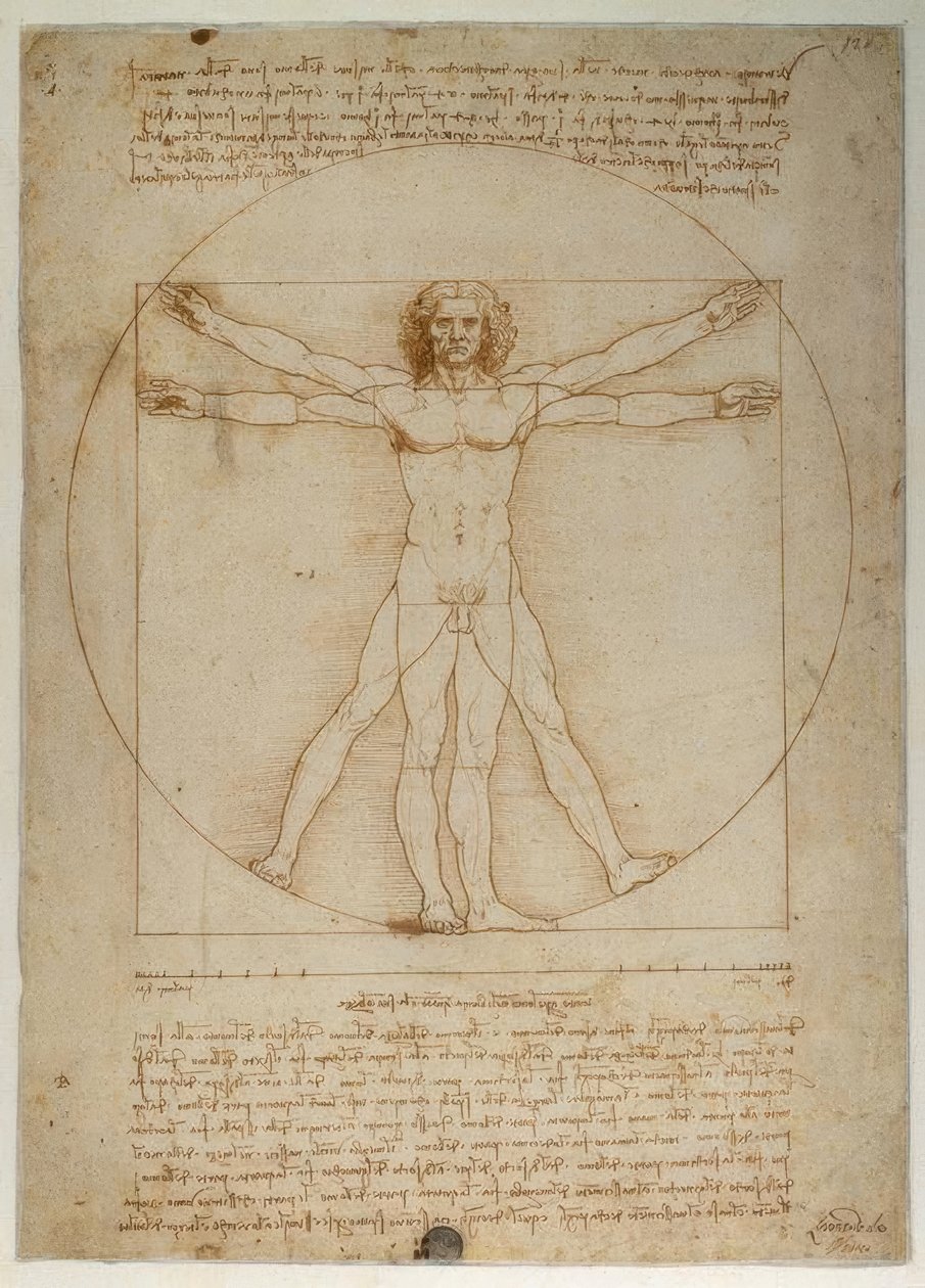 Proportieschema van de menselijke gestalte volgens Vitruvius door Leonardo da Vinci