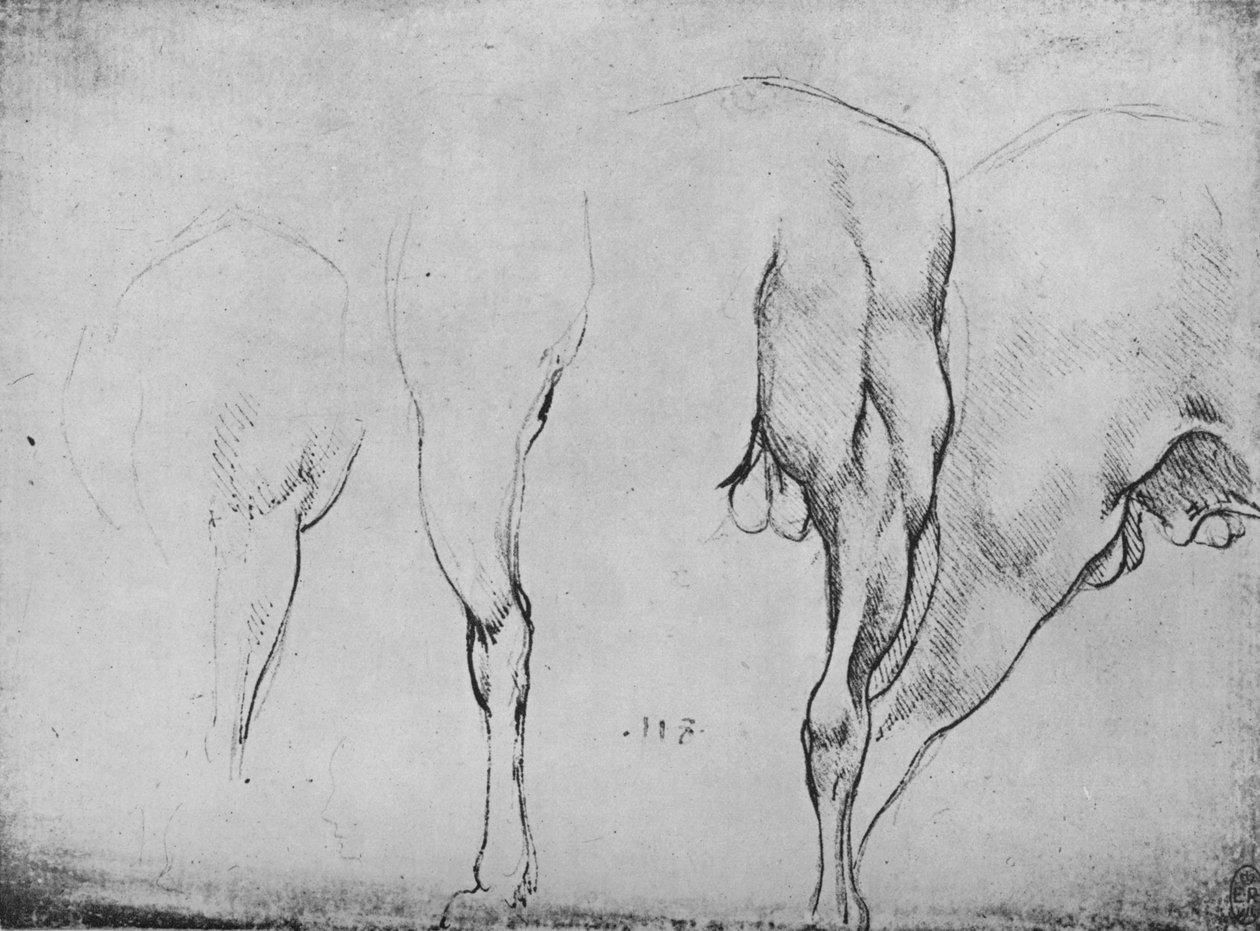 Studies van paardenbenen, c1480 1945 door Leonardo da Vinci
