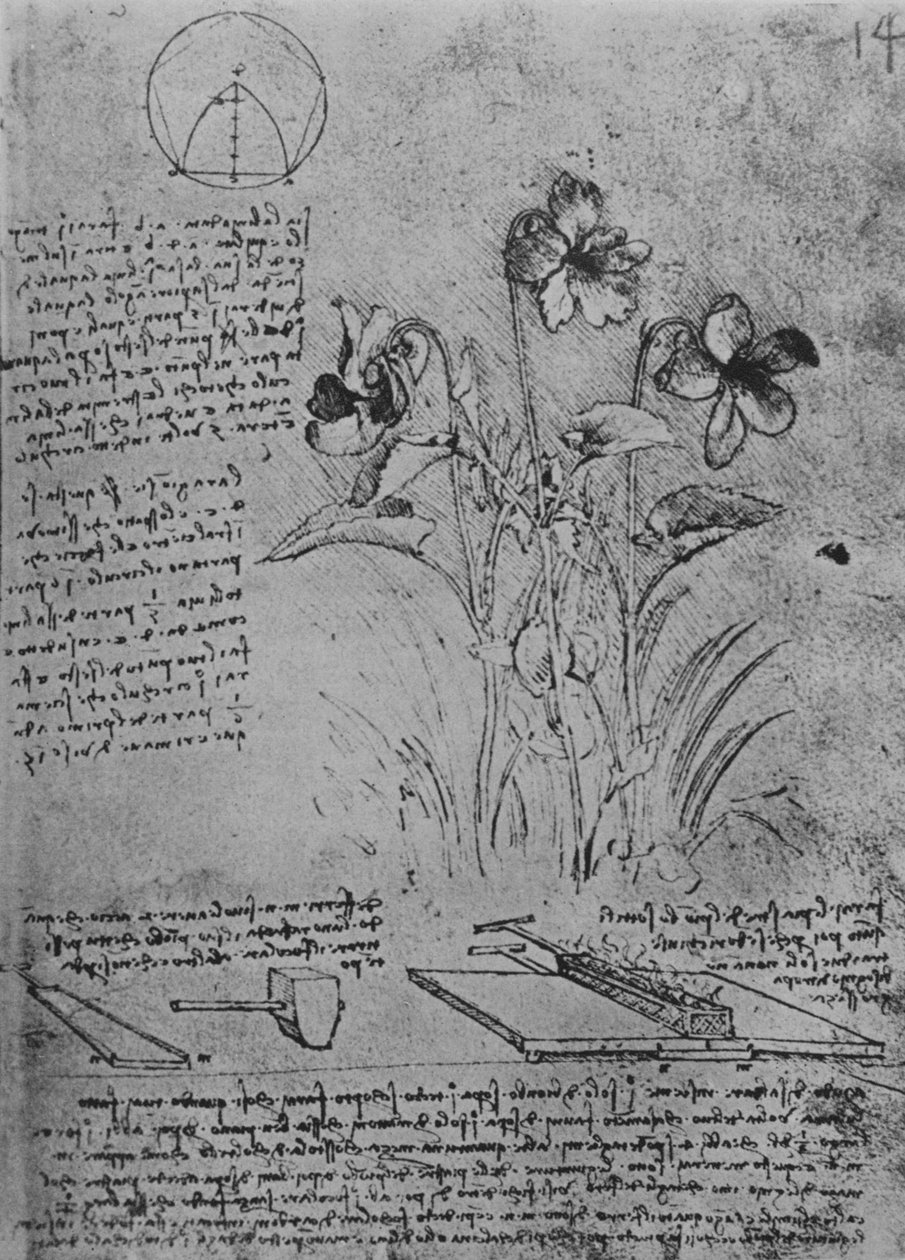 Studies van altviolen en methoden van solderen van loden daken door Leonardo da Vinci