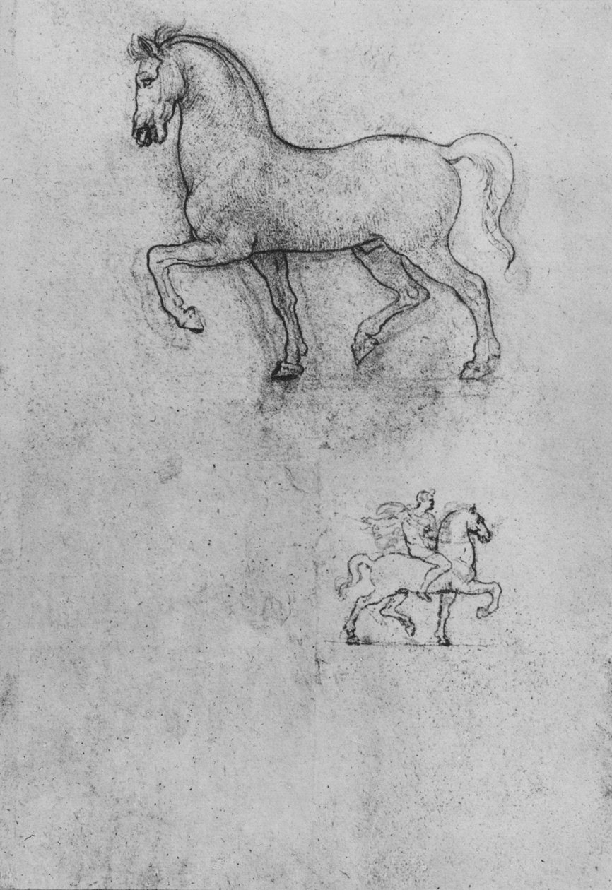 Studies van een Paard en een van een Paard en Ruiter, ca 1480 1945 door Leonardo da Vinci