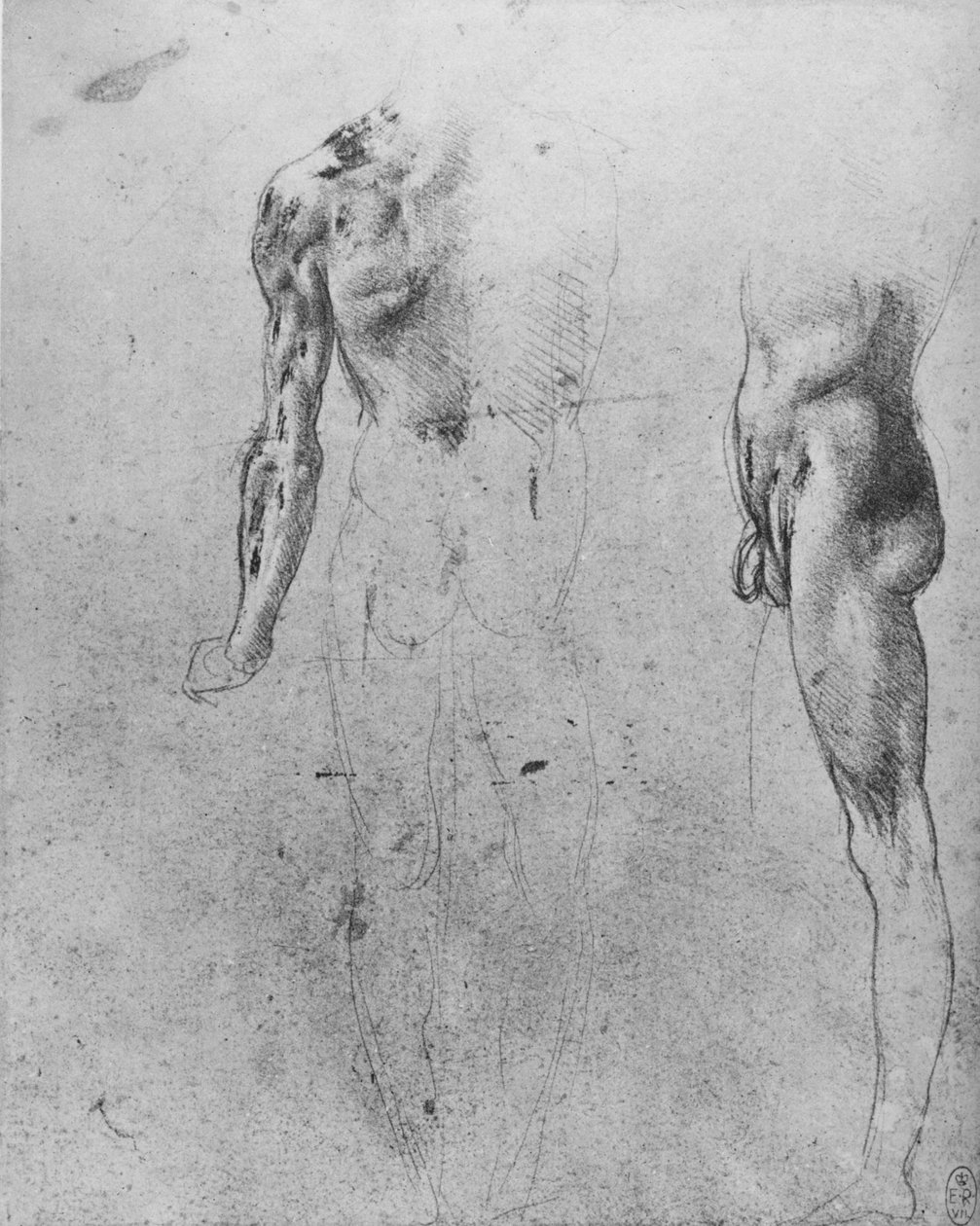 Studies van een naakte man gezien van de achterkant en zijkant, c1480 door Leonardo da Vinci