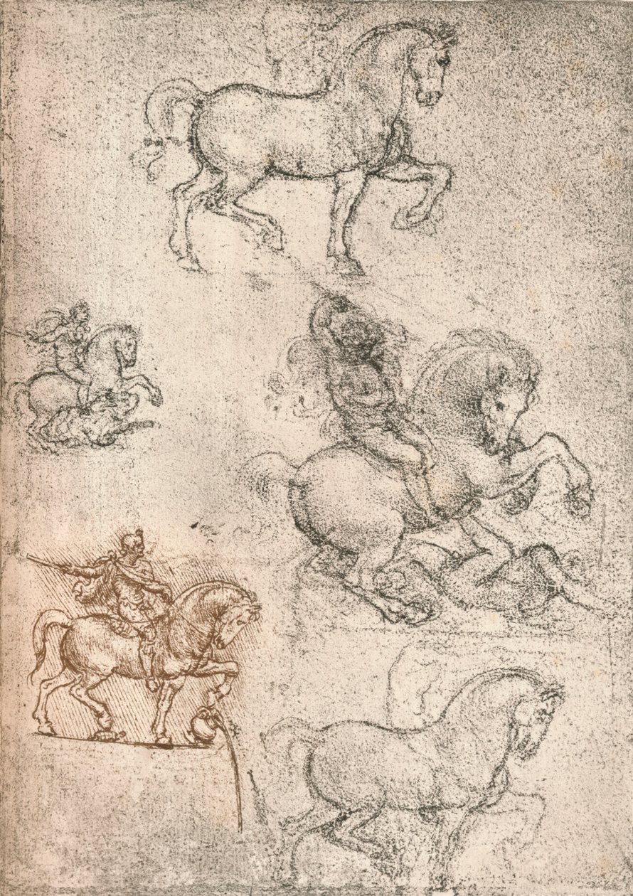 Studie voor het Sforza-monument, c1482-c1499 1883 door Leonardo da Vinci