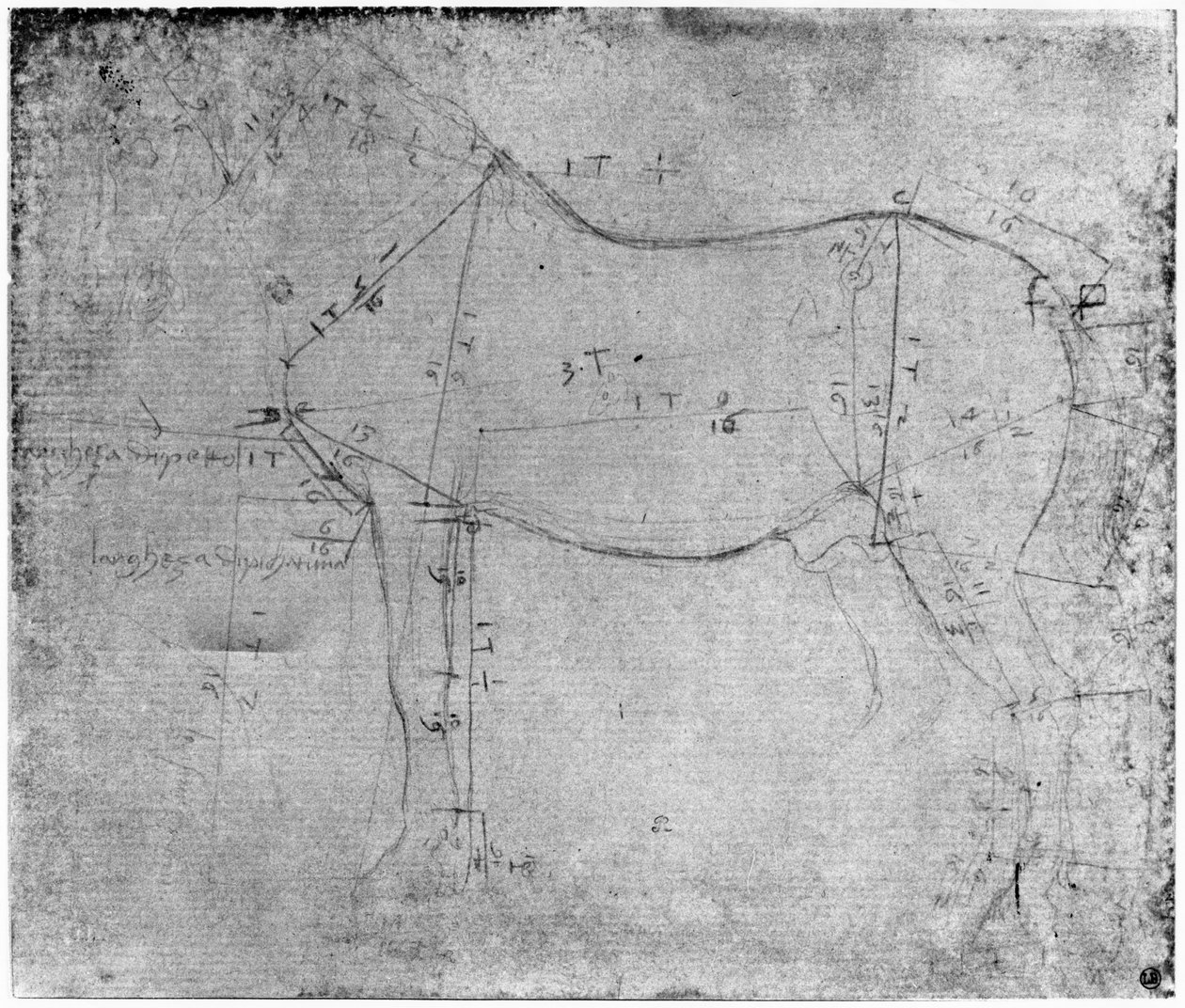 Studie van een paard door Leonardo da Vinci