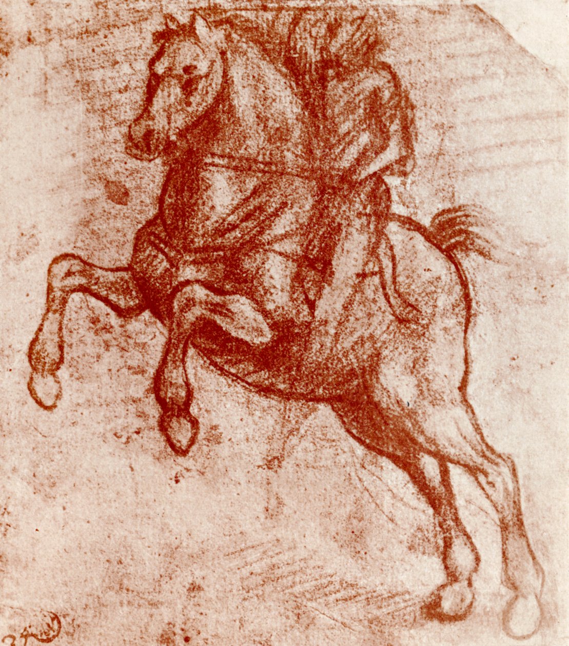 Studie van een Ridder, door Leonardo Da Vinci, 1913 door Leonardo da Vinci