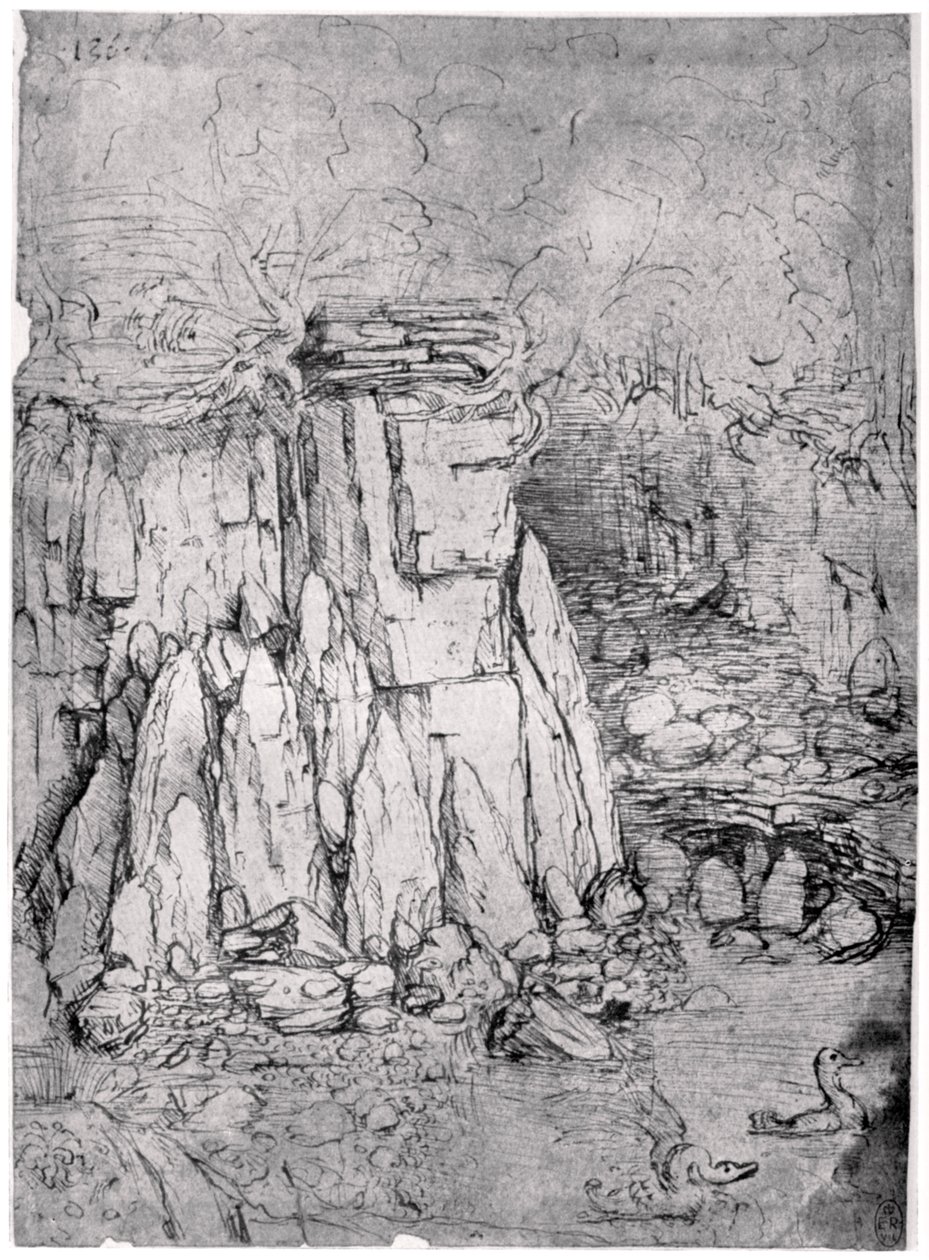 Studie van een rotsachtige grot met eenden, 1482-1485 1954 door Leonardo da Vinci