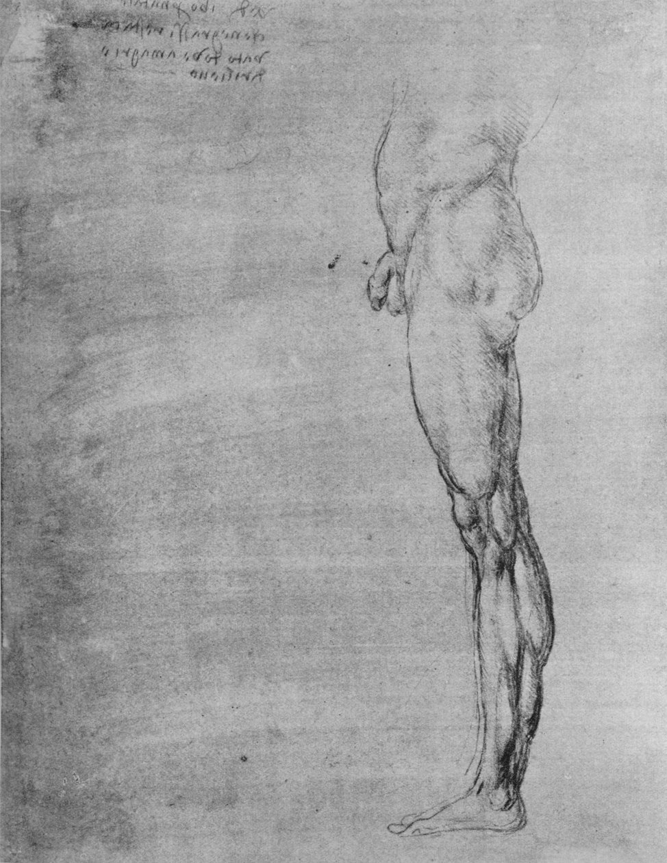 Studie van het Lichaam en Been van een Man, c1480 1945 door Leonardo da Vinci