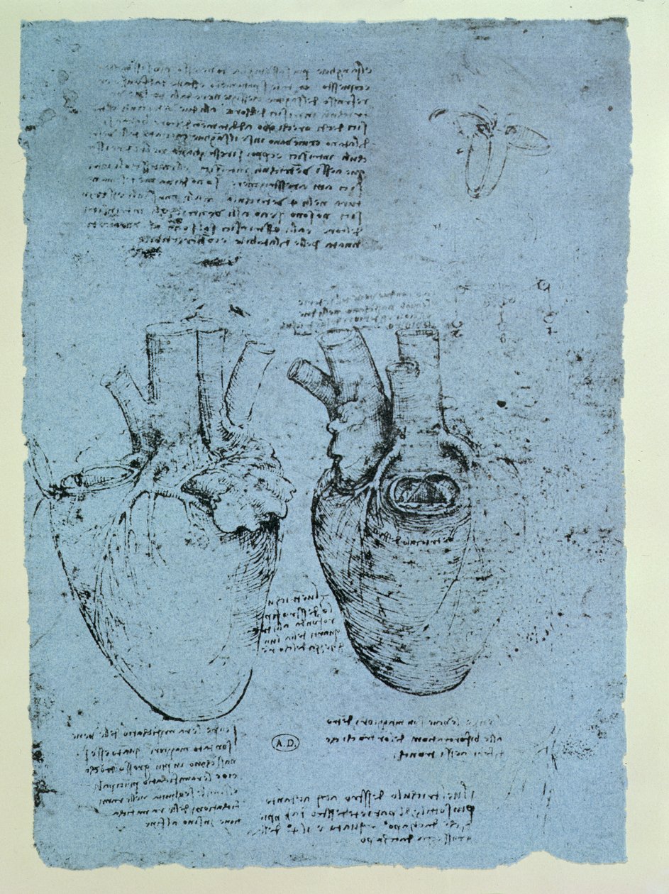 Het hart, facsimile van het Windsor-boek door Leonardo da Vinci