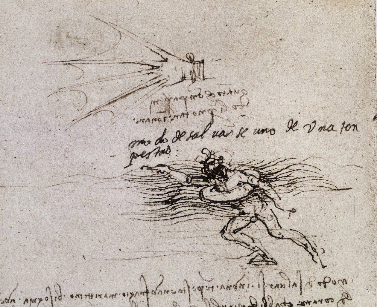 De palm en de boei, Codex Atlanticus door Leonardo da Vinci