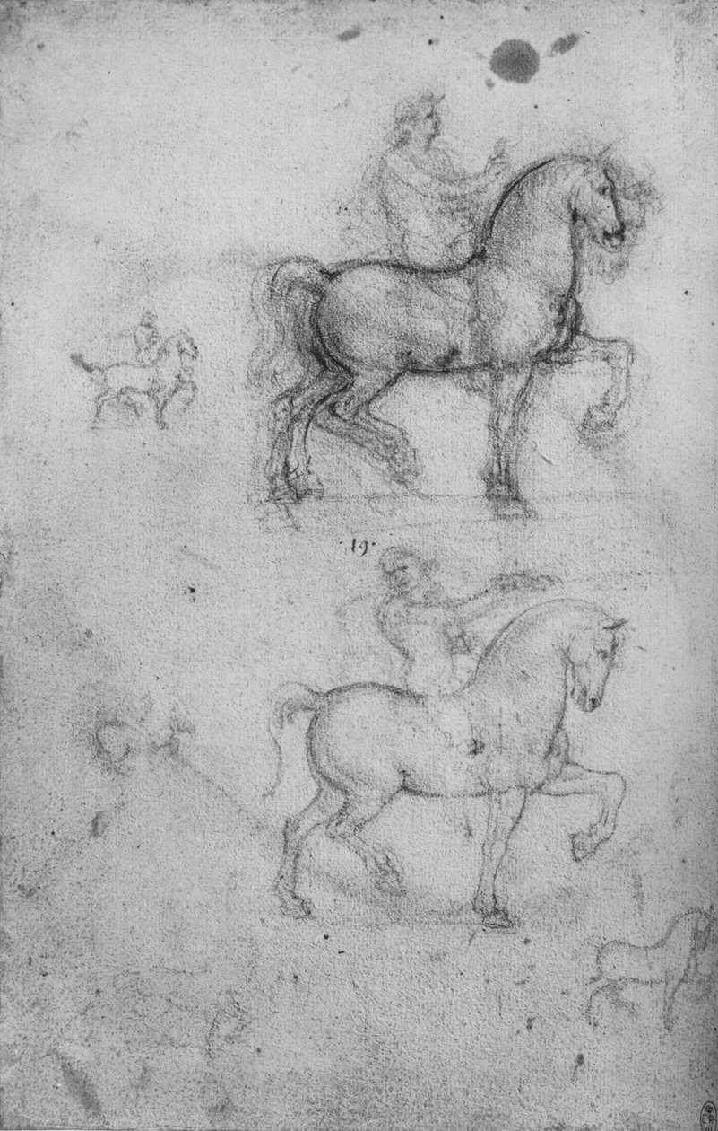 Twee studies van paarden en ruiters en kleinere studies van paarden, ca. 1480, 1945 door Leonardo da Vinci