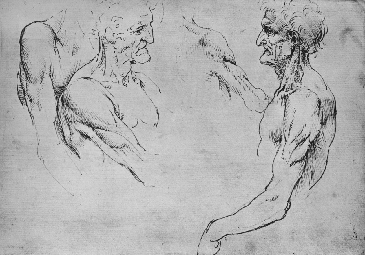 Twee Studies van het Bovenste Deel van een Oude Man en Twee Studies van Armen, ca. 1480, 1945 door Leonardo da Vinci