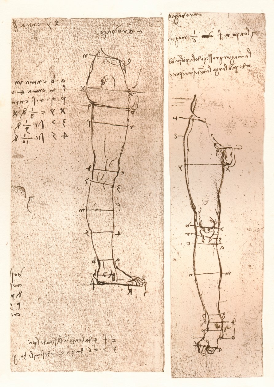 Twee tekeningen ter illustratie van de theorie van de proporties van het menselijk figuur, ca. 1472-ca. 1519, 1883 door Leonardo da Vinci