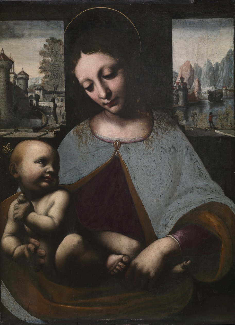 Maagd en Kind, c. 1500 door Leonardo da Vinci