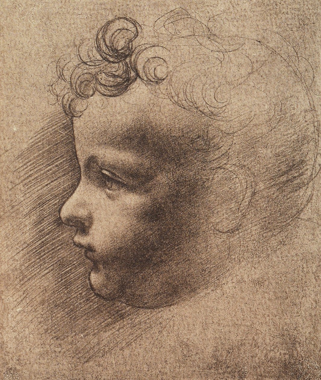 Hoofd van een kleine jongen door Leonardo da school of Vinci