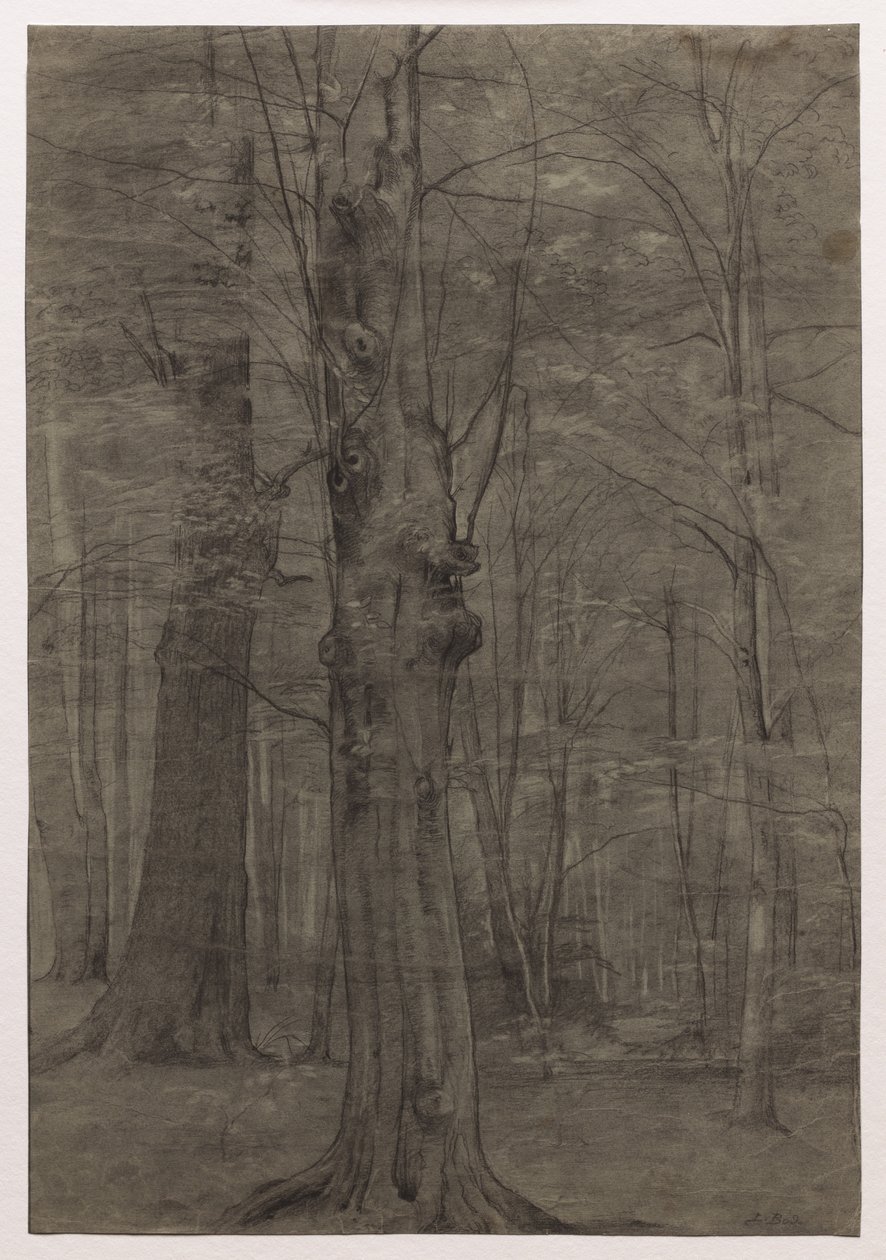 Bomen door Leopold Bode