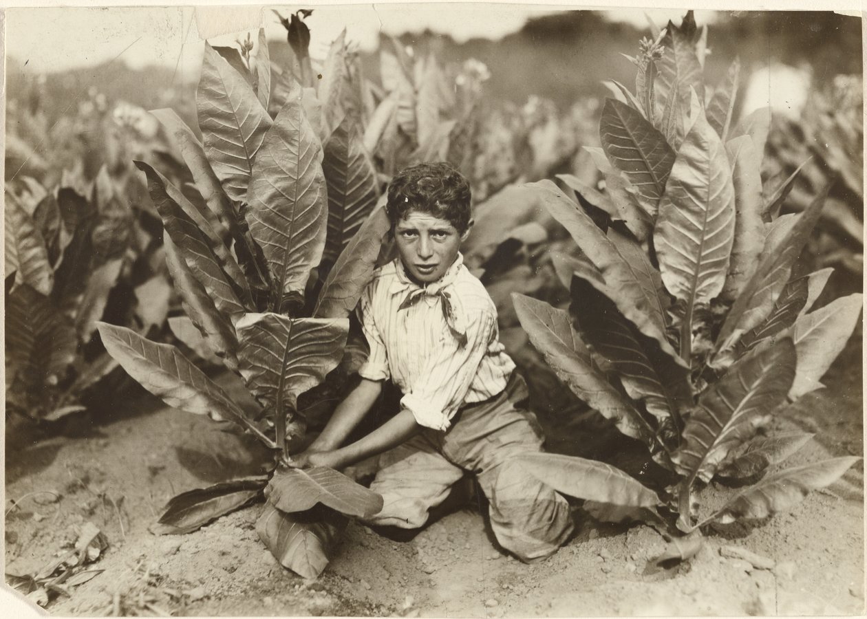 Tienjarige plukker op tabaksboerderij Gildersleeve door Lewis W. Hine