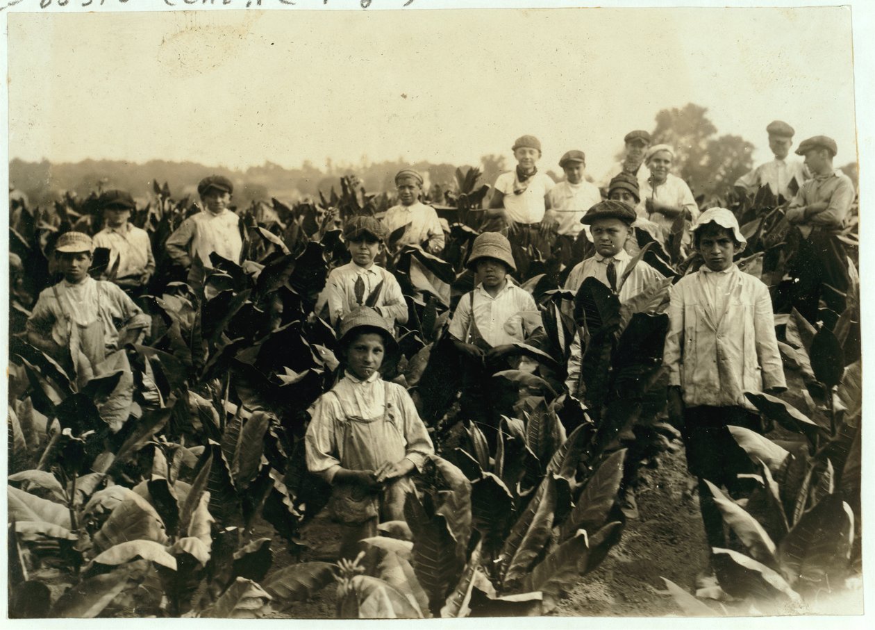 Goodrich Tabaksboerderij, nabij Gildersleeve, Connecticut, 1917 door Lewis Wickes Hine