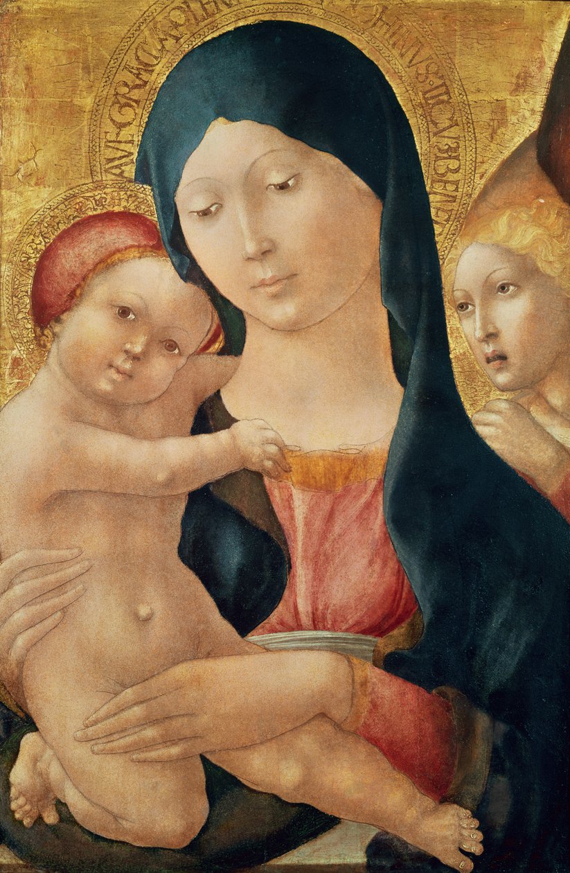 Maagd en Kind met een Engel, c.1468-70 door Liberale da Verona