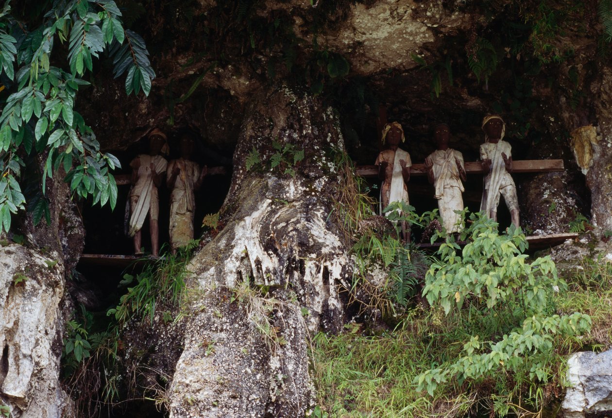 Begrafenisnissen met Tau Tau mortuariumfiguren, Marrante dorp, Tana Toraja, Sulawesi eiland, Indonesië door Unbekannt Unbekannt