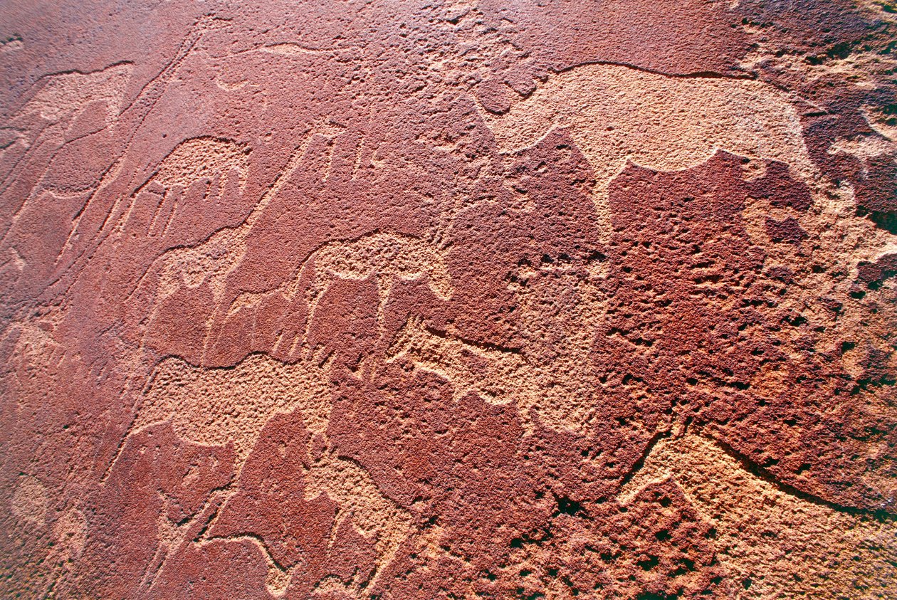 Namibië, Damaraland Wildernisgebied, Twyfelfontein, Brandberg Bergen, rotstekeningen uit de Steentijd door Unbekannt Unbekannt