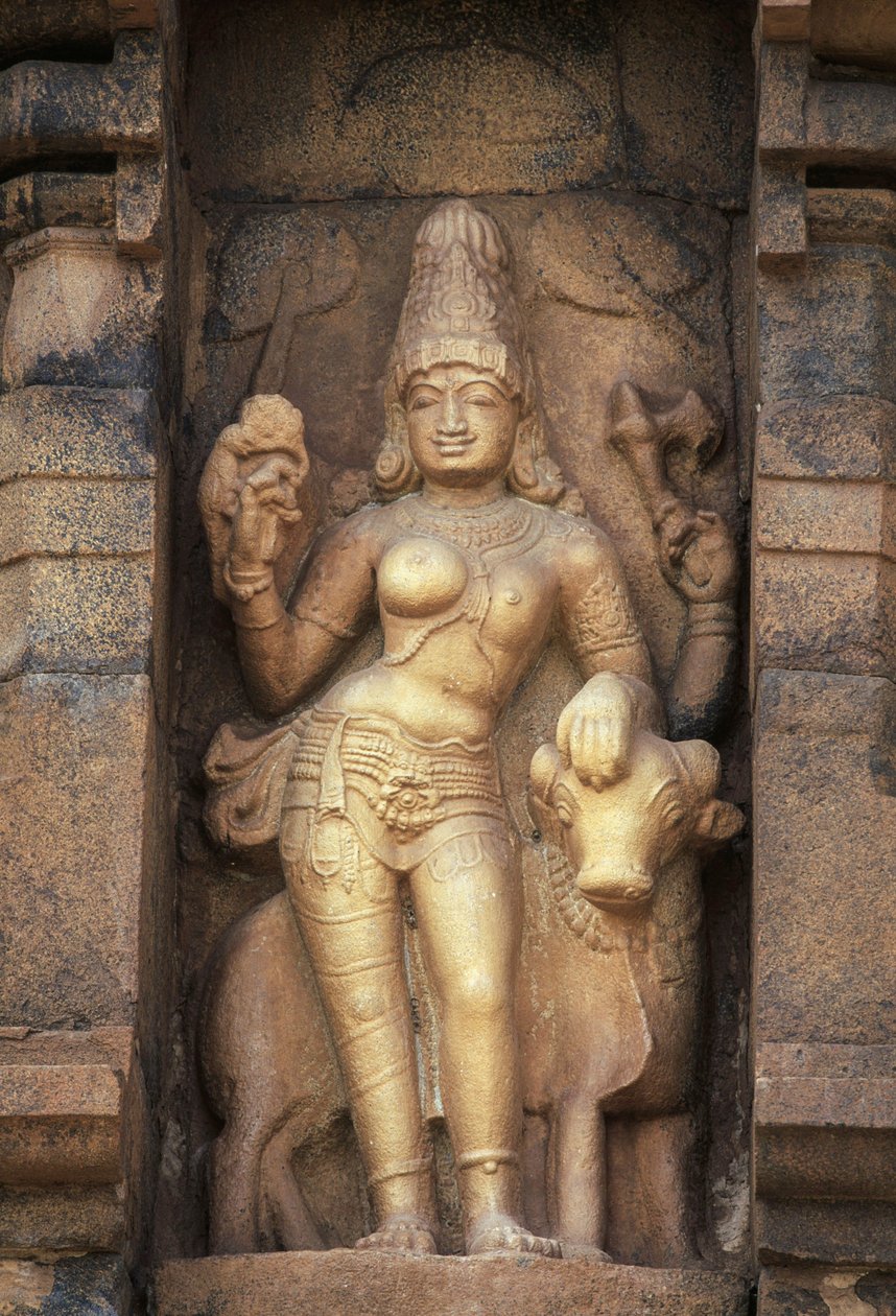 Reliëf dat Parvati uitbeeldt, Brihadisvara-tempel, Gangaikonda Cholapuram, Tamil Nadu, India door Unbekannt Unbekannt