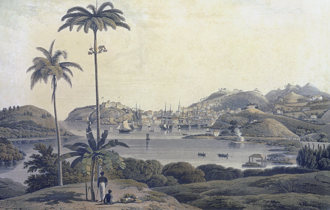 Een uitzicht op de stad St. George op het eiland Grenada, genomen vanaf het Belmont Estate, gegraveerd door William Daniell (1769-1837), c.1810 door Lieutenant Colonel J. Wilson