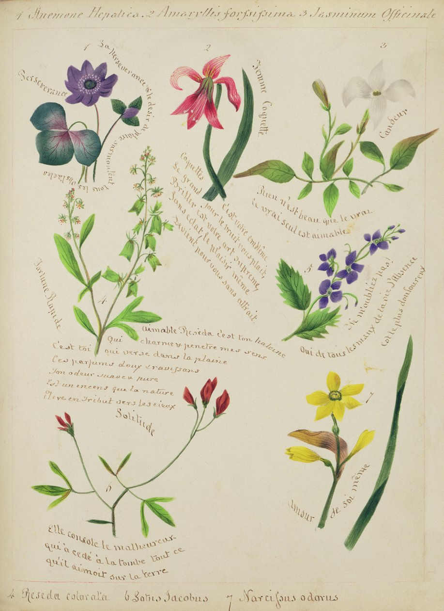 Wilde bloemen (pagina uit een schetsboek met vers) door Lili Cartwright