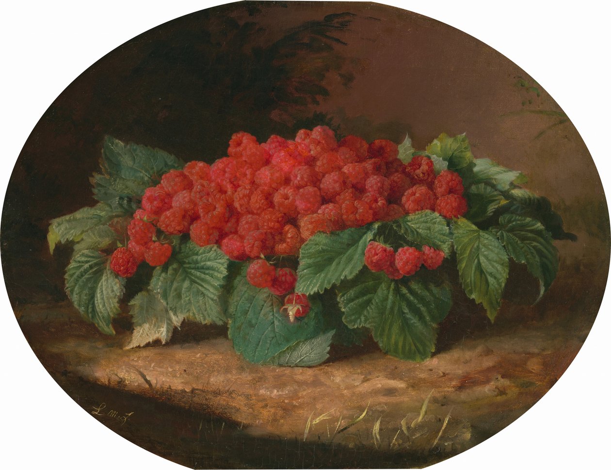 Frambozen, c.1859 (olieverf op doek) door Lilly Martin Spencer