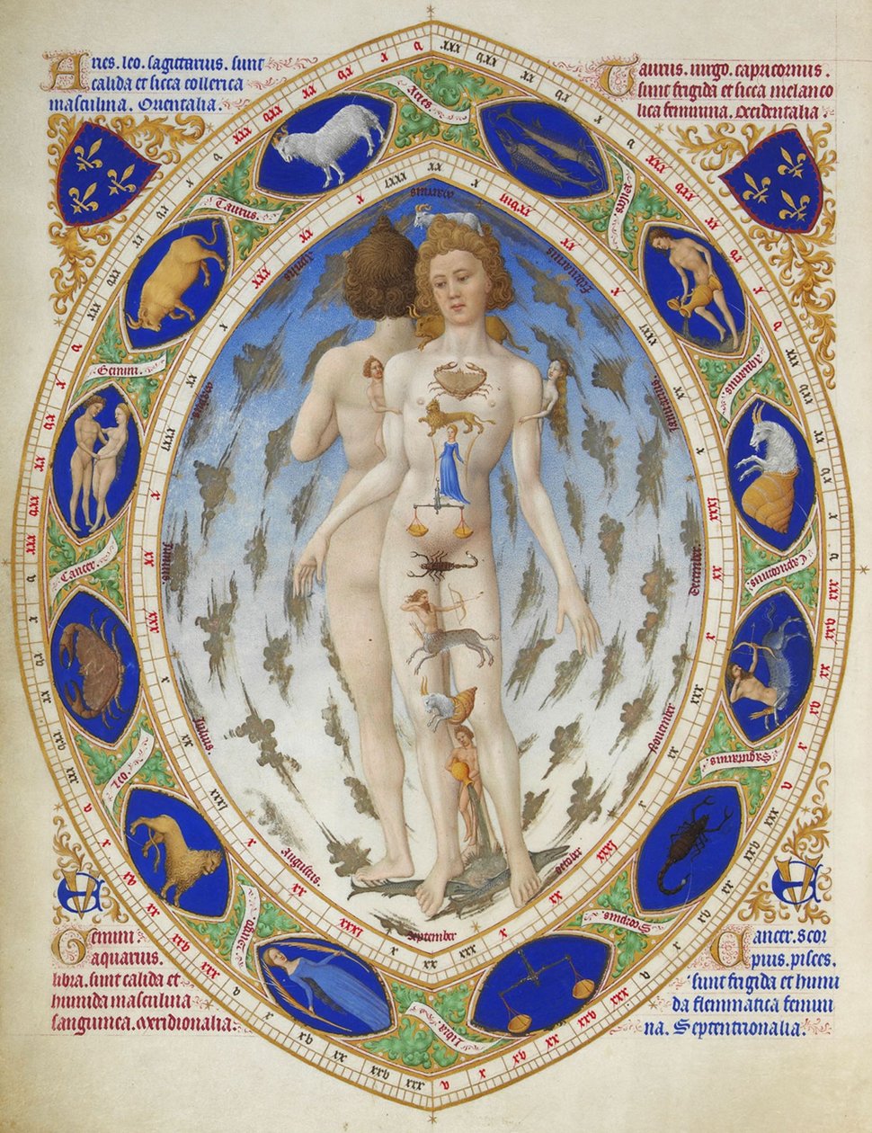 Très Riches Heures du duc de Berry: Anatomische Man door Limbourg Brothers