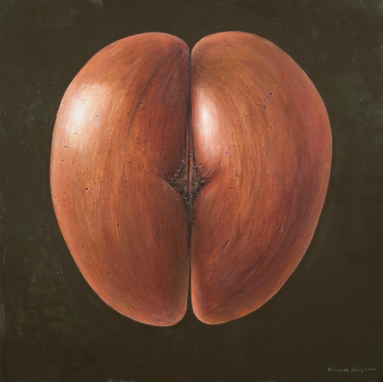 Coco de Mer, Malediven door Lincoln Seligman