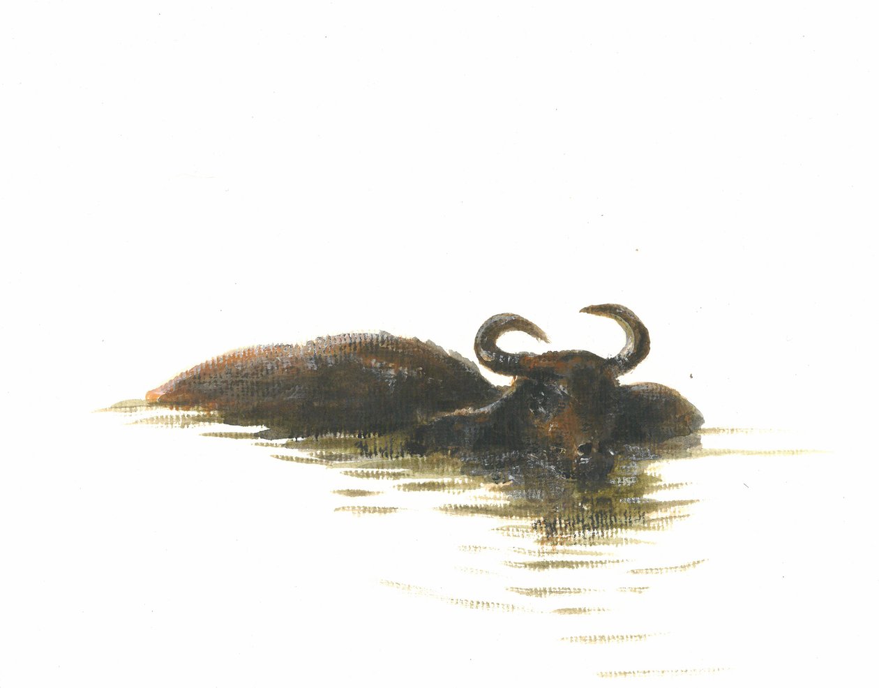 Waterbuffel 2, 2015 door Lincoln Seligman