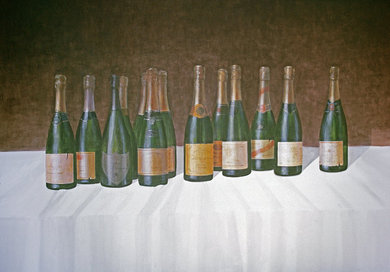 Wijnlandschap, Champagne, 2003 door Lincoln Seligman