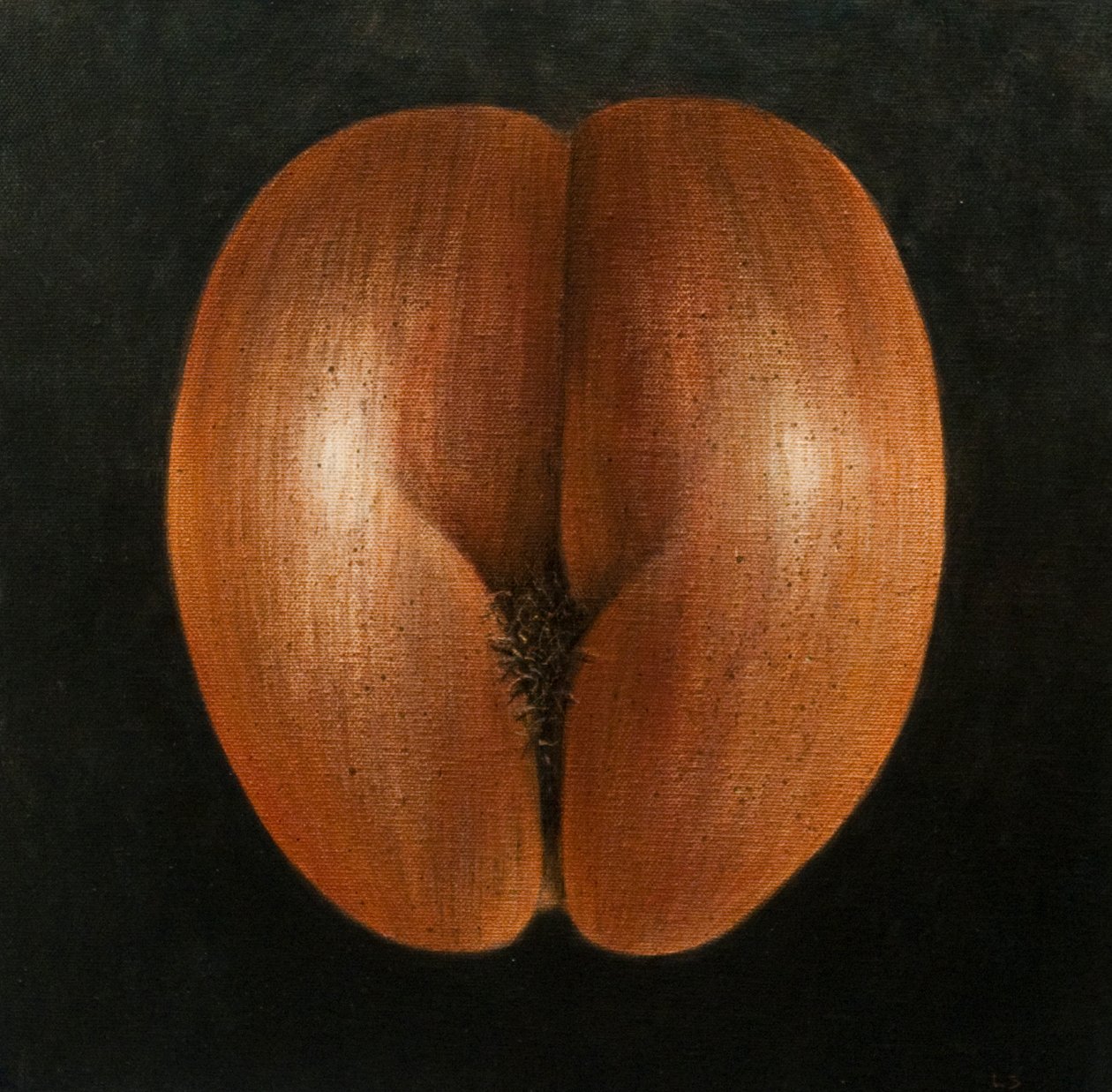 Coco de Mer, 2010 door Lincoln Seligman